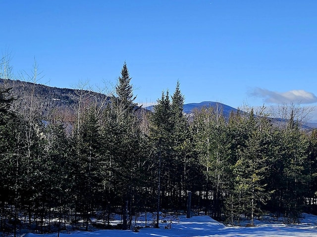 90 Swan Hill Rd, Bethel, ME 04217 - photo 47