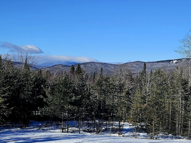 view of mountain feature