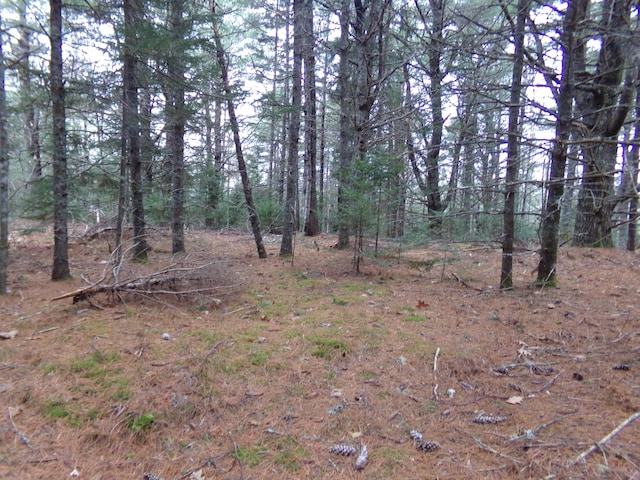 LOT3-E Rogers Point Rd, Steuben ME, 04680 land for sale