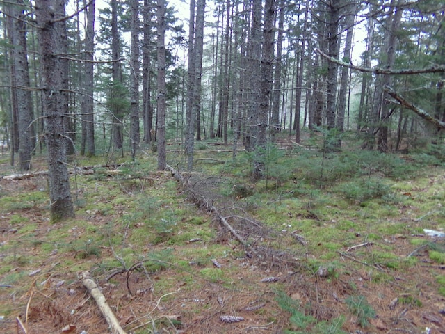 Listing photo 3 for LOT3-E Rogers Point Rd, Steuben ME 04680