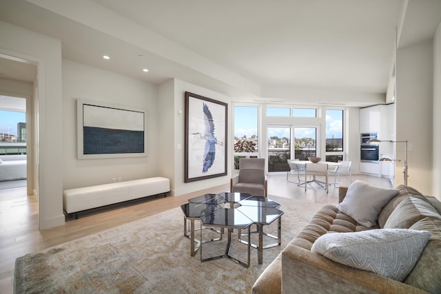 living room with light hardwood / wood-style flooring