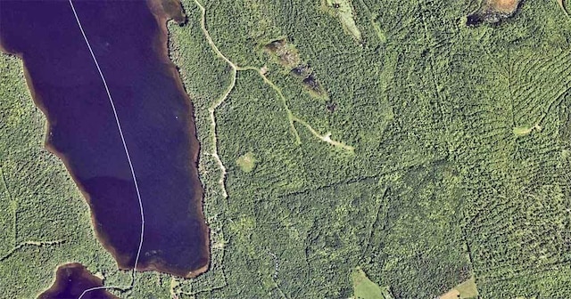 60 Lower Lake Rd, Danforth, ME 04424 - photo 48