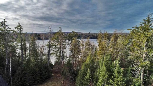 60 Lower Lake Rd, Danforth, ME 04424 - photo 50