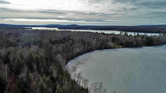 60 Lower Lake Rd, Danforth, ME 04424 - photo 4