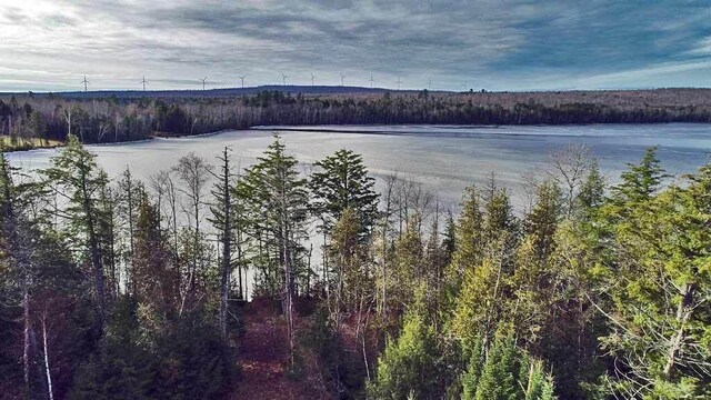 60 Lower Lake Rd, Danforth, ME 04424 - photo 6