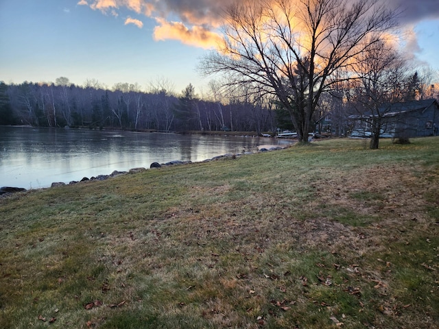 view of yard featuring a water view and a forest view