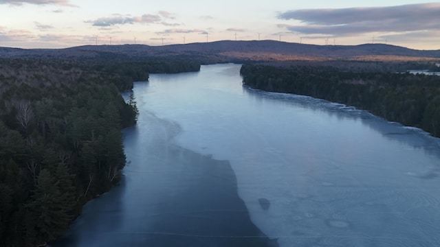 aerial view at dusk with a mountain view and a view of trees