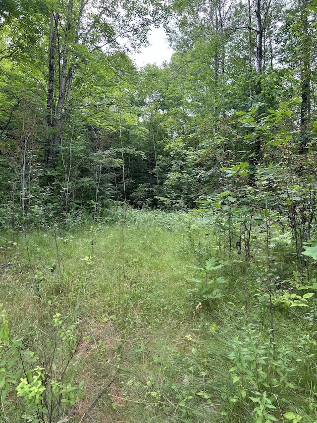 M5L18 Bog Rd, New Portland ME, 04961 land for sale