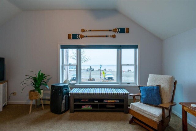 living area with lofted ceiling, a baseboard radiator, a healthy amount of sunlight, and a water view