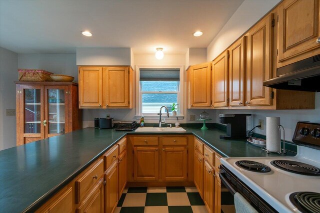 kitchen featuring sink and electric stove