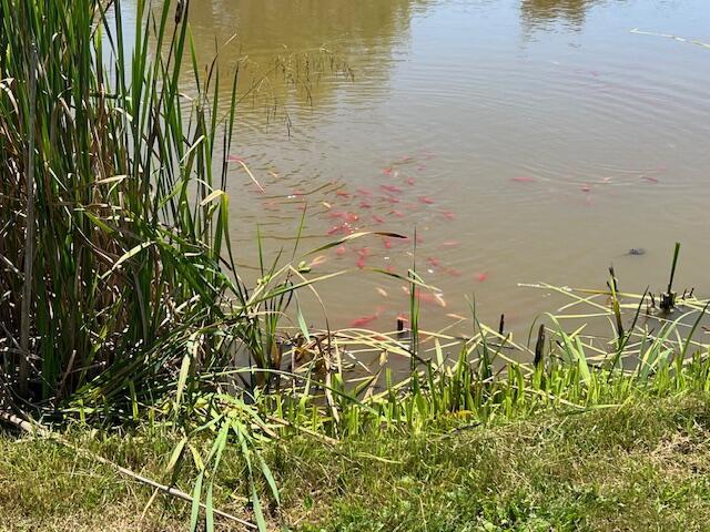 view of water feature