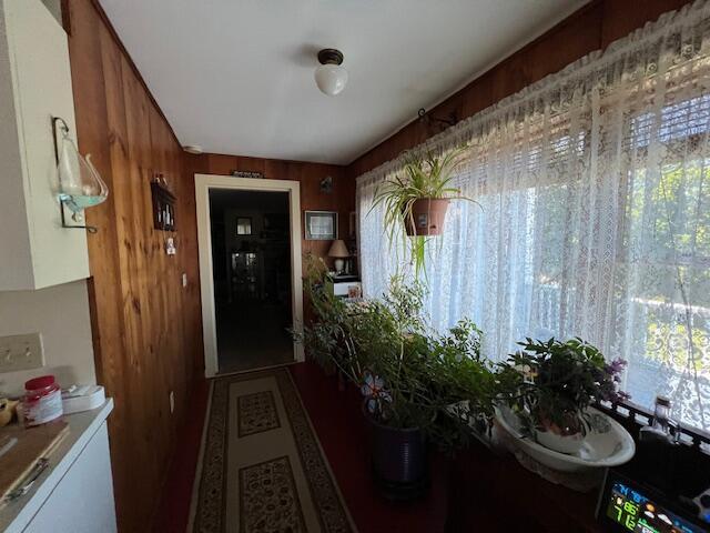 corridor featuring wooden walls and a healthy amount of sunlight