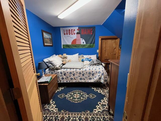 bedroom featuring lofted ceiling