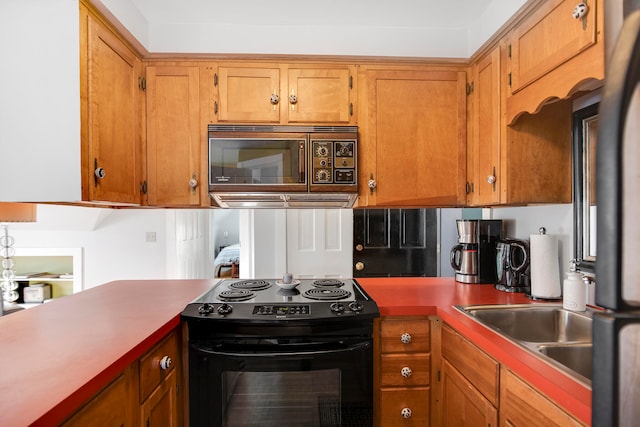 kitchen with black range with electric cooktop and sink