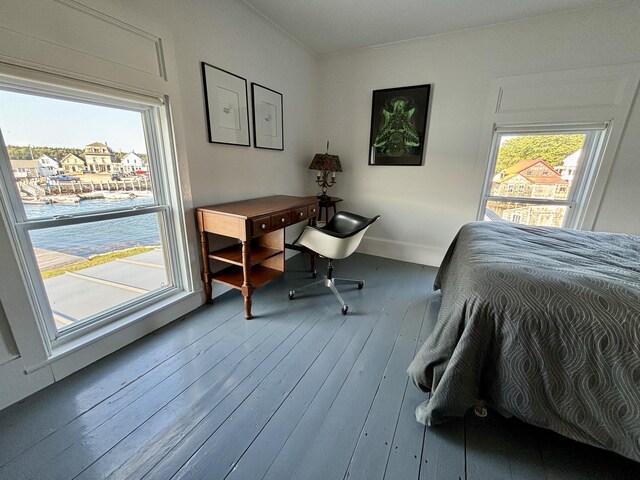 bedroom featuring wood-type flooring and multiple windows