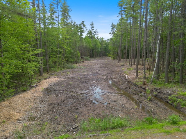 Listing photo 2 for LOT53B Great Hill Rd, South Berwick ME 03908