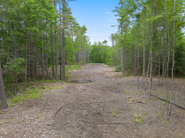 LOT53B Great Hill Rd, South Berwick ME, 03908 land for sale