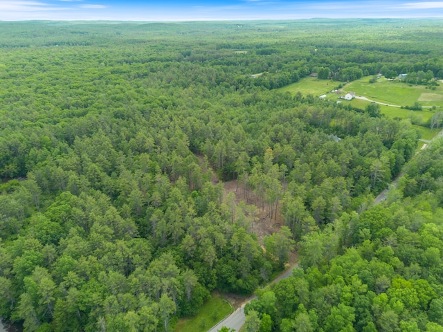 LOT53B Great Hill Rd, South Berwick, ME 03908 - photo 12