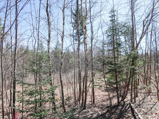 LOT5 Sturtevant Hill Rd, Winthrop ME, 04364 land for sale