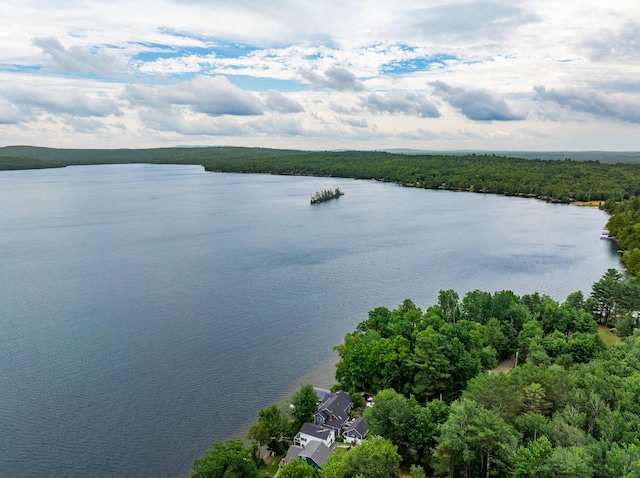 property view of water