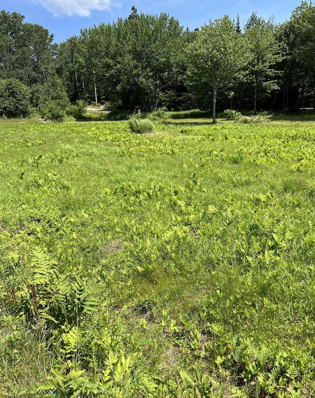 821 Tremont Rd, Tremont, ME 04674