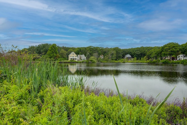 2 Maddox Pond Rd, Biddeford, ME 04005 - water view featuring a forest