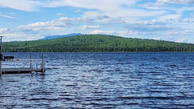 21 Greystone Ln Unit T4, Indian Purchase Twp, ME 04462 - dock with a forest view and a water and mountain view