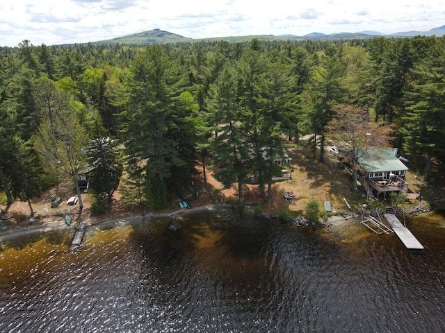 21 Greystone Ln Unit T4, Indian Purchase Twp, ME 04462 - aerial view of property's location with a heavily wooded area and a water and mountain view
