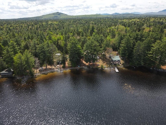 21 Greystone Ln Unit T4, Indian Purchase Twp, ME 04462 - bird's eye view of a forest and a water and mountain view
