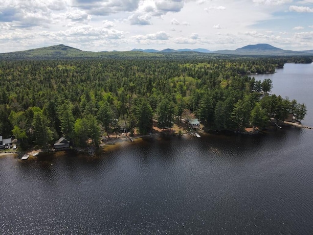 21 Greystone Ln Unit T4, Indian Purchase Twp, ME 04462 - aerial view of property and surrounding area with a water and mountain view and a heavily wooded area