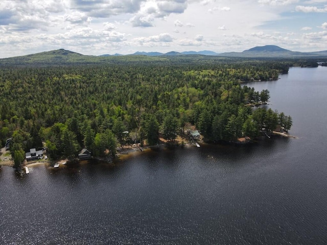 21 Greystone Ln Unit T4, Indian Purchase Twp, ME 04462 - drone / aerial view of a heavily wooded area and a water and mountain view