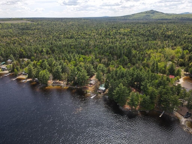 21 Greystone Ln Unit T4, Indian Purchase Twp, ME 04462 - aerial overview of property's location with a forest and a large body of water