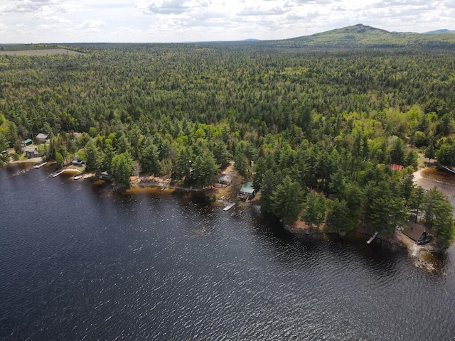 21 Greystone Ln Unit T4, Indian Purchase Twp, ME 04462 - aerial overview of property's location with a heavily wooded area and a large body of water