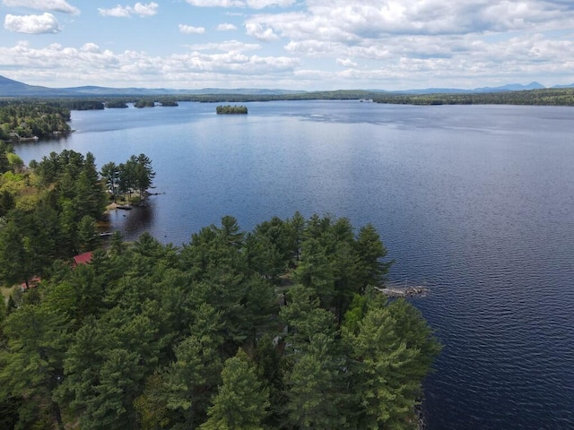 21 Greystone Ln Unit T4, Indian Purchase Twp, ME 04462 - water view with mountains