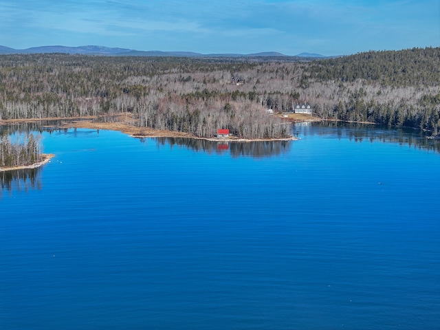 property view of water with a mountain view