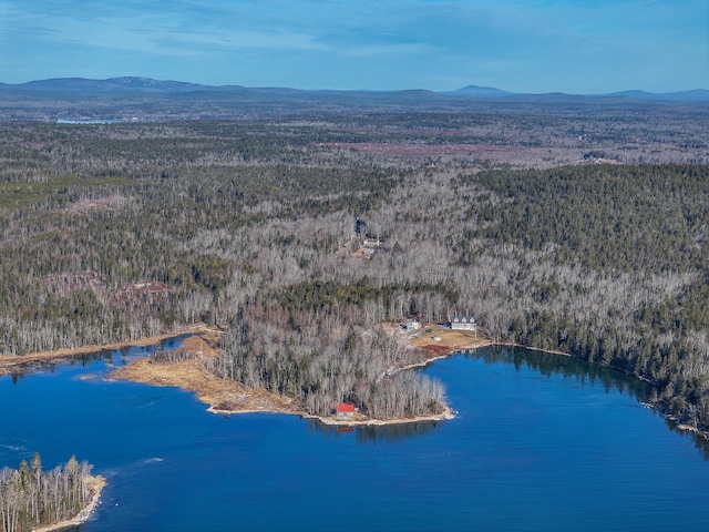 drone / aerial view with a water and mountain view