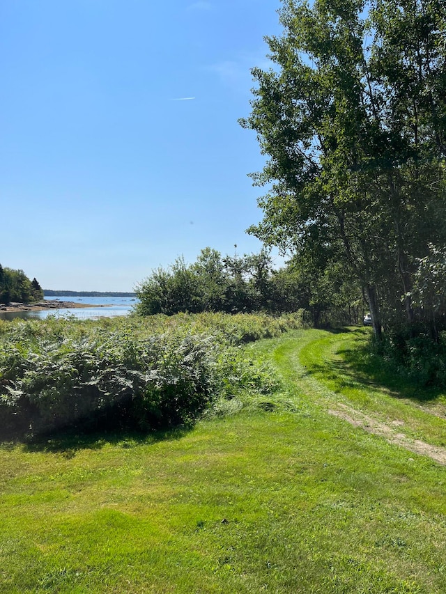 view of yard with a water view