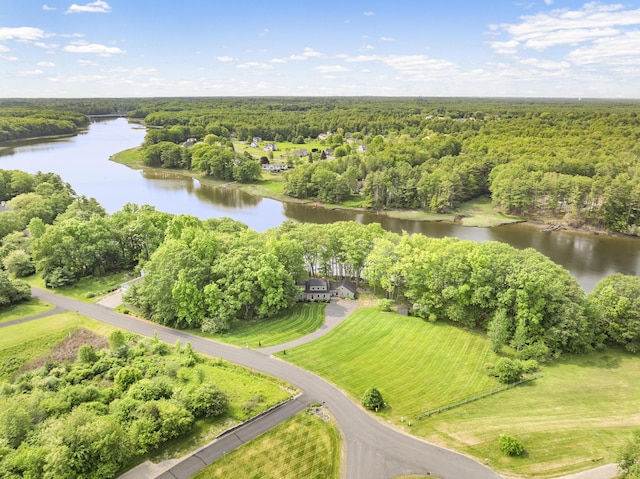 8 Hickory Ln, York, ME 03909 - bird's eye view of a forest and a nearby body of water
