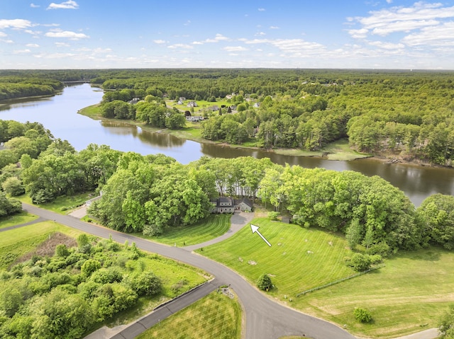 8 Hickory Ln, York, ME 03909 - aerial view of a heavily wooded area and a nearby body of water