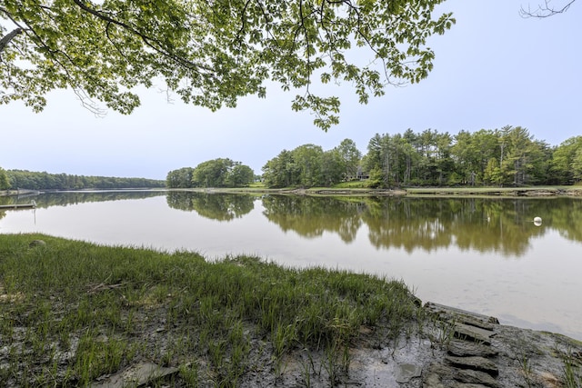8 Hickory Ln, York, ME 03909 - water view with a forest