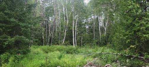 005-005 Grendell Rd, Chapman, ME 04757