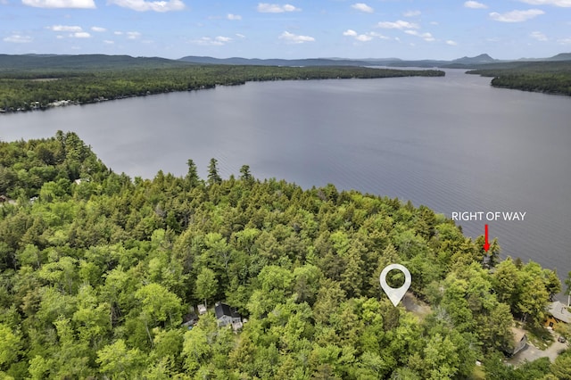 17 Eagle Ln, Dover-Foxcroft, ME 04426 - aerial view of a water and mountain view and a forest