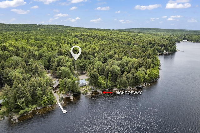 17 Eagle Ln, Dover-Foxcroft, ME 04426 - drone / aerial view of a heavily wooded area and a nearby body of water
