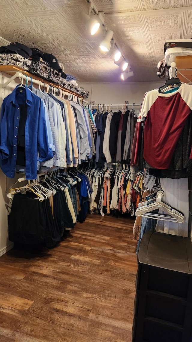 spacious closet with hardwood / wood-style flooring