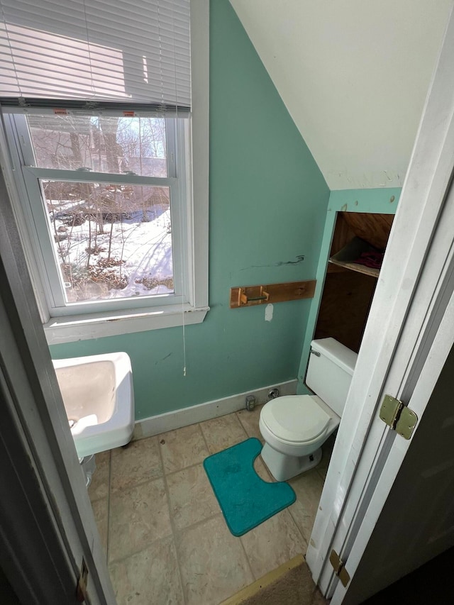 bathroom featuring toilet and a wealth of natural light