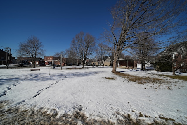 view of yard covered in snow