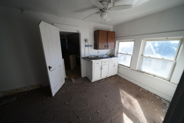 kitchen with ceiling fan and sink