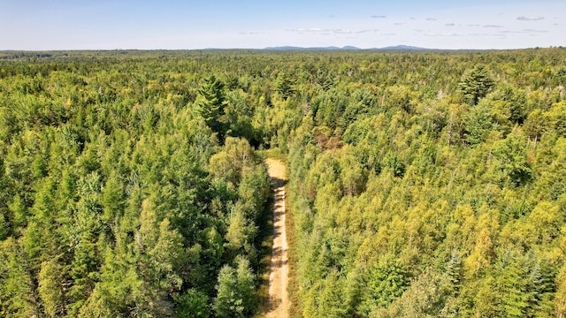 91 Dorman Rd, Harrington ME, 04643 land for sale