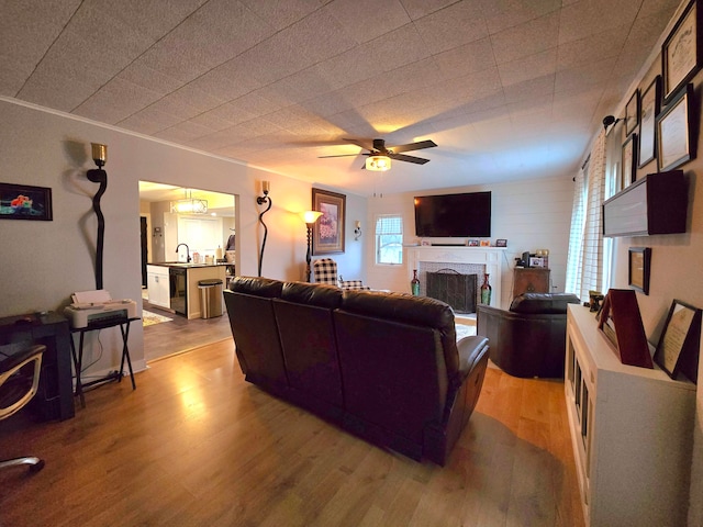 living room with light wood-type flooring, ceiling fan, and sink