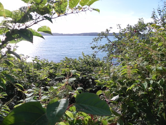 69 Johnson St, Lubec ME, 04652 land for sale